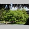 RoyalGarden002.jpg
