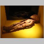 IMG_1282.JPG